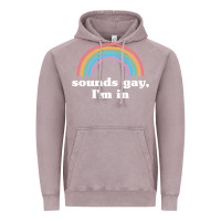Vintage Zinc Sounds Gay, I'm In Vintage Hoodie - longCreatives