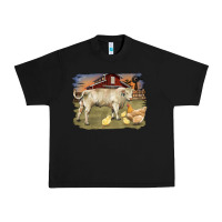 Black charolaris bull and chicken in barnyard Urban Heavy Tee - RanaPortraitStore