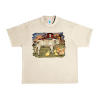 Sandshell charolaris bull and chicken in barnyard Urban Heavy Tee - RanaPortraitStore