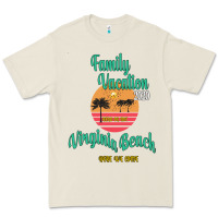 Family Vacation 2020 Read Or Not Virginia Beach Here We Come Premium Tee | Teevron