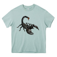Arona scorpion Heavy Core Tee - JahusDesignShop