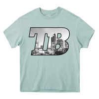 Arona TB Tampa Bay City Skyline of Tampa Bay, Florida Heavy Core Tee - longCreatives