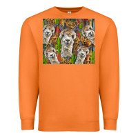 Carrot alpaca Premium Sweatshirt - BarkalooDesign