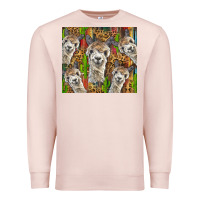 Pale Pink alpaca Premium Sweatshirt - BarkalooDesign