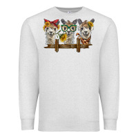 Oatmeal Heather 3 alpacas Premium Sweatshirt - BarkalooDesign