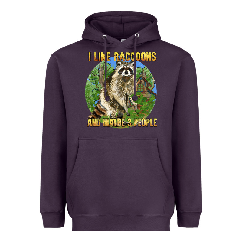 I Like Raccoons And 3 People Heavyweight Hoodie by BarkalooDesign | Teevron