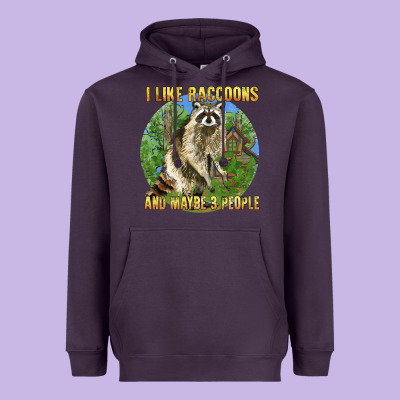 I Like Raccoons And 3 People Heavyweight Hoodie Designed By Barkaloodesign