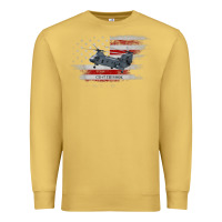 Antique Gold CH-47 Chinook Helicopter USA Flag Helicopter Pilot Gifts Premium Sweatshirt - longCreatives