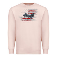 Pale Pink CH-47 Chinook Helicopter USA Flag Helicopter Pilot Gifts Premium Sweatshirt - longCreatives