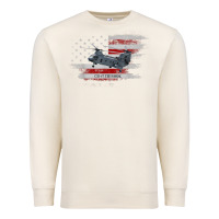 Sandshell CH-47 Chinook Helicopter USA Flag Helicopter Pilot Gifts Premium Sweatshirt - longCreatives