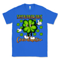 True Royal shenanigans coordinator st patrick s day artiststas Classic Tee - Artiststas
