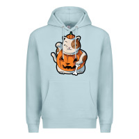 Blue Mist cute kawaii maneki neko cat halloween pumpkin costume boys Premium Hoodie - trangStudio