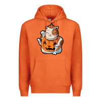 Carrot cute kawaii maneki neko cat halloween pumpkin costume boys Premium Hoodie - trangStudio