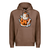 Chestnut cute kawaii maneki neko cat halloween pumpkin costume boys Premium Hoodie - trangStudio