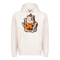 Pale Pink cute kawaii maneki neko cat halloween pumpkin costume boys Premium Hoodie - trangStudio