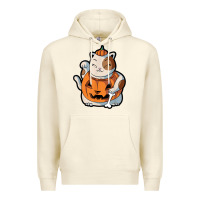 Sandshell cute kawaii maneki neko cat halloween pumpkin costume boys Premium Hoodie - trangStudio