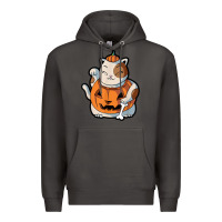 Smoke cute kawaii maneki neko cat halloween pumpkin costume boys Premium Hoodie - trangStudio