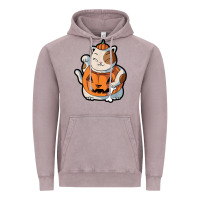Vintage Zinc cute kawaii maneki neko cat halloween pumpkin costume boys Vintage Hoodie - trangStudio