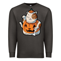 Smoke cute kawaii maneki neko cat halloween pumpkin costume boys Premium Sweatshirt - trangStudio