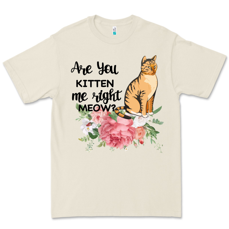 Are You Kitten Me Right Meow Premium Tee by Bettercallsaul | Teevron