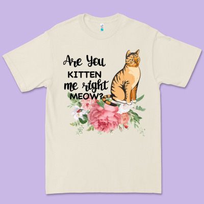 Are You Kitten Me Right Meow Premium Tee Designed By Bettercallsaul