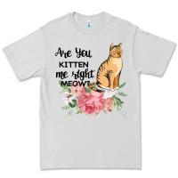 Dove Grey Are you kitten me right meow Premium Tee - Bettercallsaul