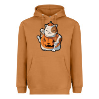 Meerkat cute kawaii maneki neko cat halloween pumpkin costume boys Heavyweight Hoodie - trangStudio