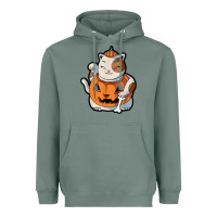 Sage cute kawaii maneki neko cat halloween pumpkin costume boys Heavyweight Hoodie - trangStudio