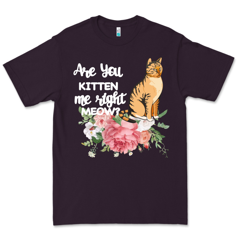 Cat Maine Coon Gift Kidding Kitten Meow Pussycat Premium Tee by Bettercallsaul | Teevron