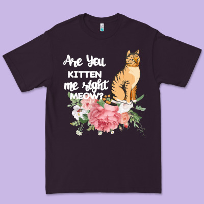 Cat Maine Coon Gift Kidding Kitten Meow Pussycat Premium Tee Designed By Bettercallsaul