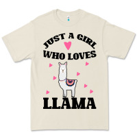 Llama Just A Girl Who Loves Llamas Premium Tee | Teevron