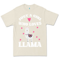 Bone Llama Just A Girl Who Loves Llamas Premium Tee - Bettercallsaul