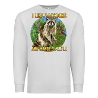 Dove Grey i like raccoons and 3 people Premium Sweatshirt - BarkalooDesign