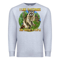 Heather Grey i like raccoons and 3 people Premium Sweatshirt - BarkalooDesign