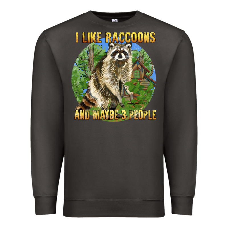 I Like Raccoons And 3 People Premium Sweatshirt by BarkalooDesign | Teevron