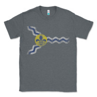 Charcoal Heather St Louis Missouri Flag Vintage Faded Home Family Classic Tee - trangStudio