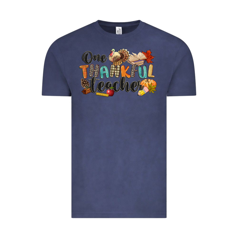 One Thankful Teacher Vintage Tee by CowGirlArtShop | Teevron