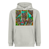 Moon Dust koala tumbler Heavyweight Hoodie - BarkalooDesign