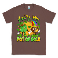 Chestnut you're my pot of gold Classic Tee - Artiststas