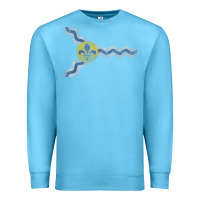 Ocean Blue St Louis Missouri Flag Vintage Faded Home Family Premium Sweatshirt - trangStudio