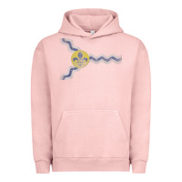 Pigment Salmon St Louis Missouri Flag Vintage Faded Home Family Urban Hoodie - trangStudio