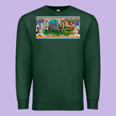 Love Texas Armadillo License Plate Premium Sweatshirt Designed By Barkaloodesign