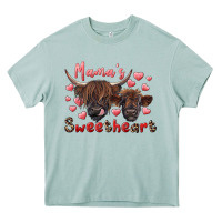 Arona mama's sweetheart highland cow and calf Heavy Core Tee - RanaPortraitStore