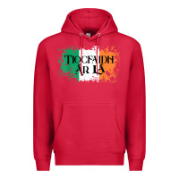 Cardinal Tiocfaidh Ar La Vintage Ireland Irish Flag Gifts For Men Premium Hoodie - trangStudio