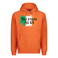 Carrot Tiocfaidh Ar La Vintage Ireland Irish Flag Gifts For Men Premium Hoodie - trangStudio