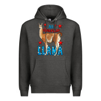 Charcoal Heather All American Lama Premium Hoodie - LillyAllenDesigns