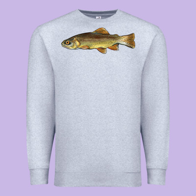Arizona Apache Trout Fish Premium Sweatshirt Designed By Barkaloodesign