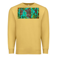 Antique Gold koala license plate Premium Sweatshirt - BarkalooDesign