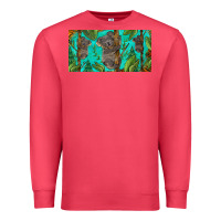 Cardinal koala license plate Premium Sweatshirt - BarkalooDesign