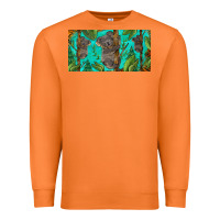 Carrot koala license plate Premium Sweatshirt - BarkalooDesign